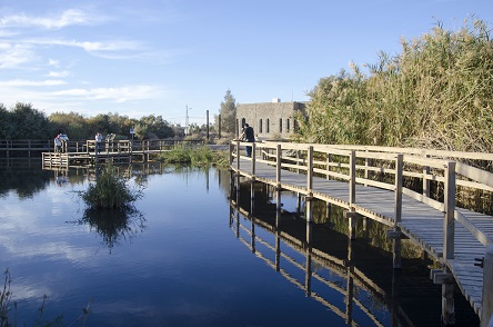 Azraq Wetland Reserve