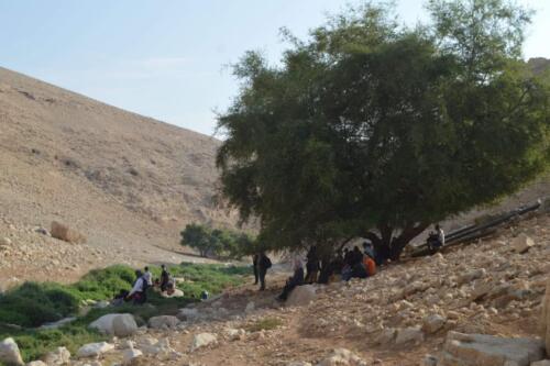 Plate 1 Fieldtrip Activity to Jericho Geosite Auja