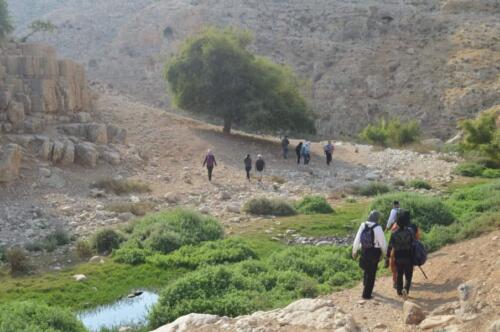 Plate 4 Fieldtrip Activity to Jericho Geosite Qilt