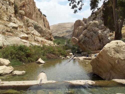 Fawar-spring-area-100 0266